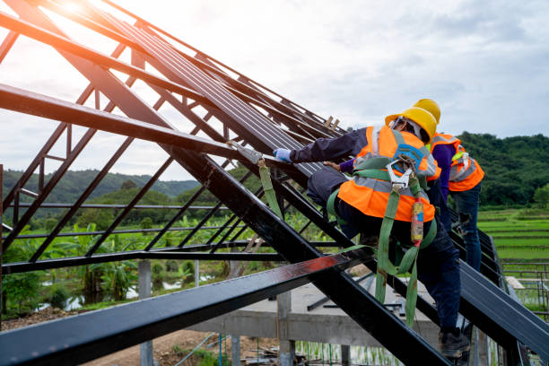 Best Roof Inspection Near Me  in Escobares, TX