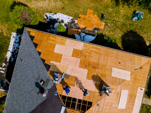 Best Local Roofing Companies  in Escobares, TX