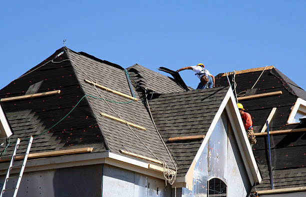 Best Roof Gutter Cleaning  in Escobares, TX