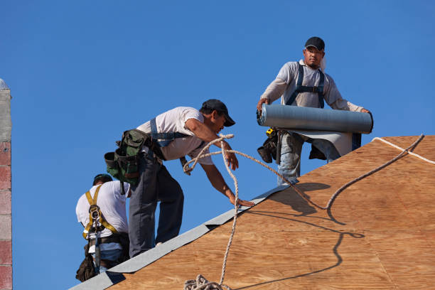 Best New Roof Installation  in Escobares, TX