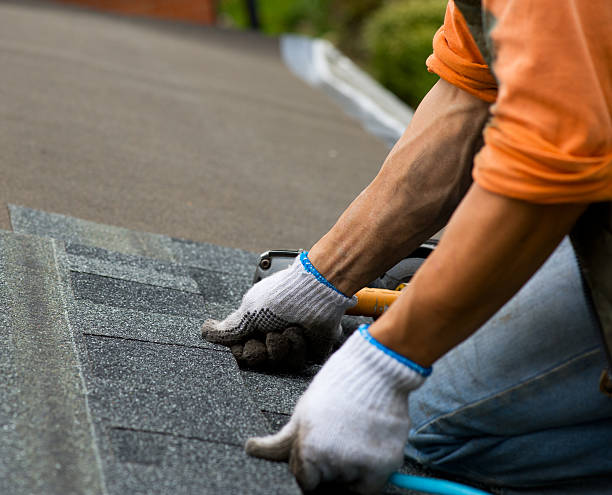 Residential Roof Replacement in Escobares, TX