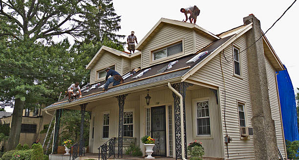 Professional Roofing Contractor in Escobares, TX